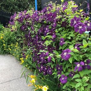 Meet your Posher, Annick